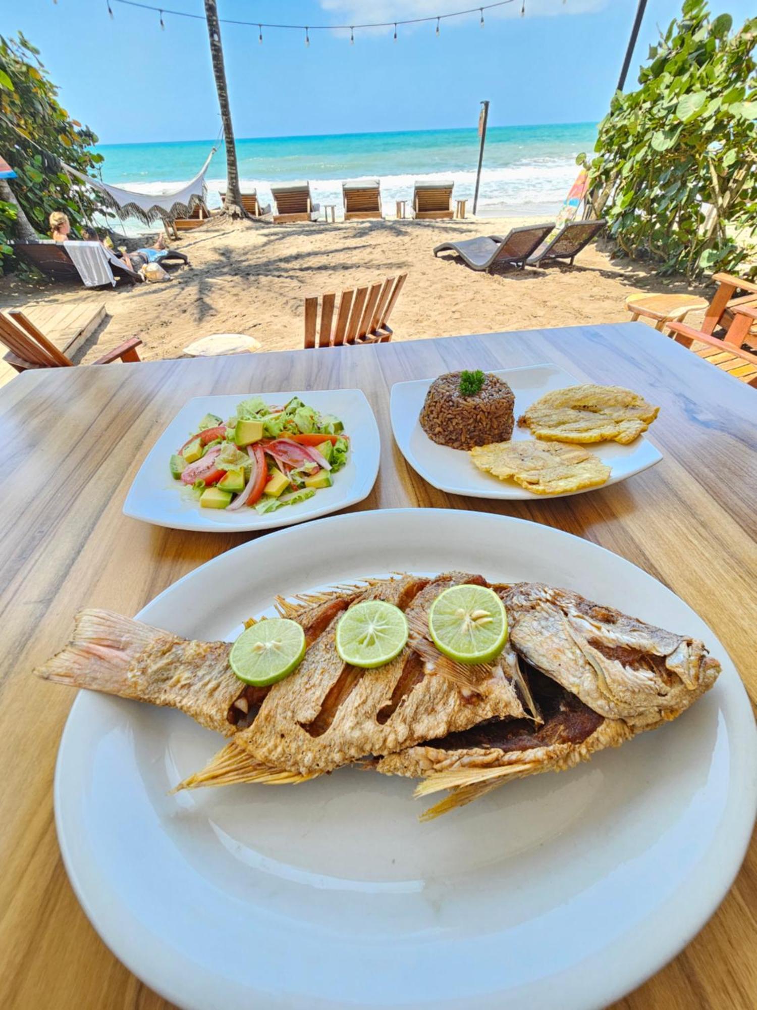 Makao Beach Hotel Паломино Екстериор снимка