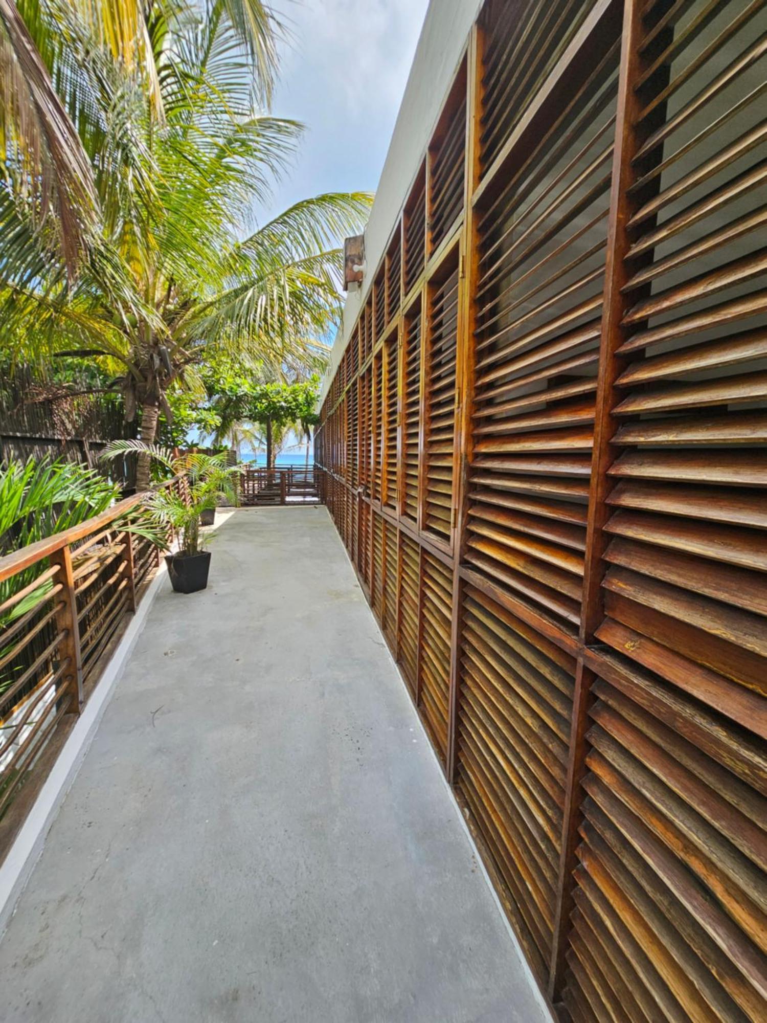 Makao Beach Hotel Паломино Екстериор снимка